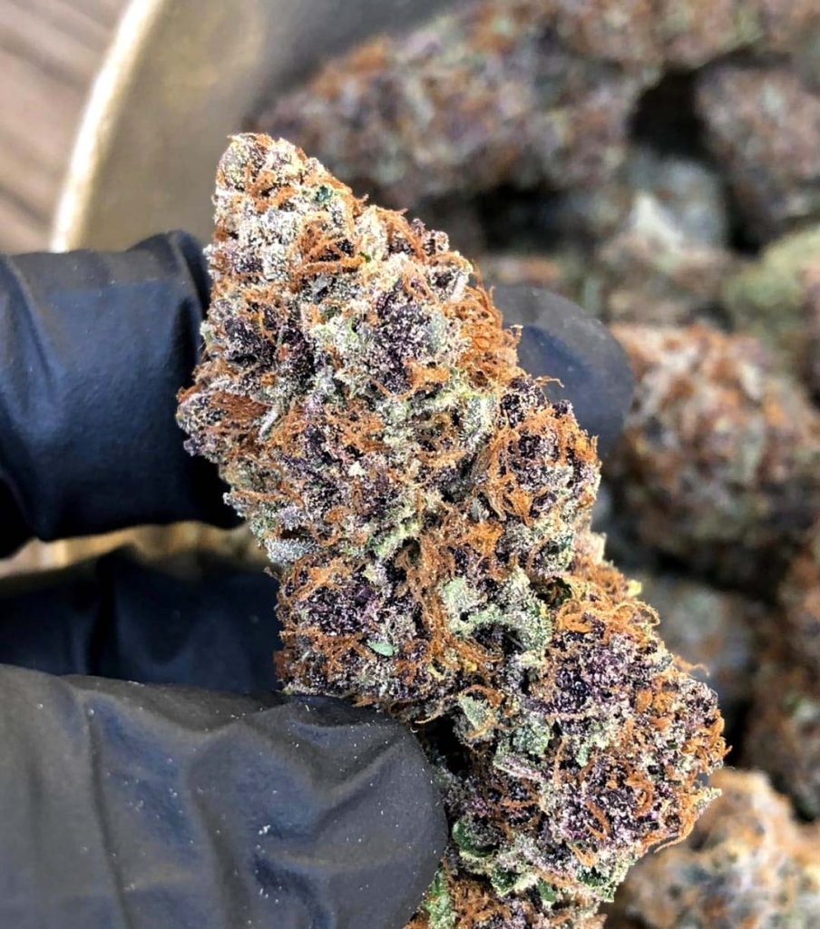 forbidden fruit weed forbidden fruit weed strain forbidden fruit weed pen forbidden fruit weed plant forbidden fruit weed indica or sativa forbidden fruit weed effects forbidden fruit weed strain effects buy forbidden fruit weed strain what is forbidden fruit weed forbidden fruit weed cartridge forbidden fruit weed for sale