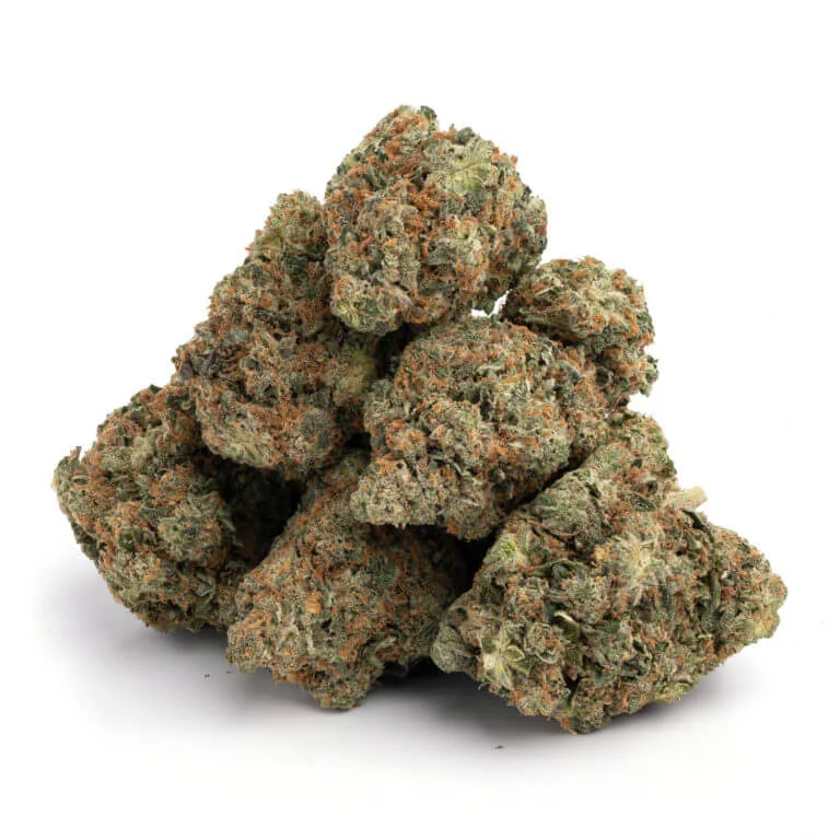 green gelato strain green gelato green gelato auto green gelato seeds good green gelato ak green gelato autoflower green gelato strain effects green gelato auto royal queen seeds green gelato automatic green gelato royal queen seeds green gelato plant green gelato cannabis strain green gelato cannabis rqs green gelato auto