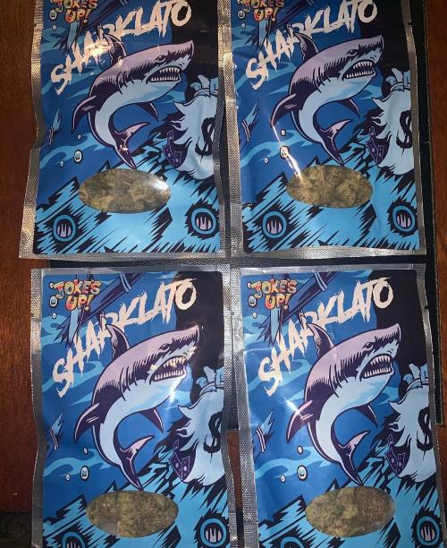 sharklato runtz