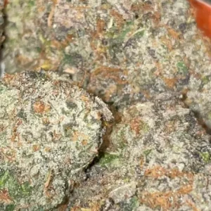 alien cookies