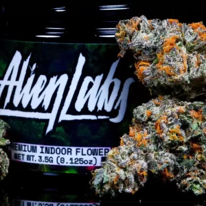 alien mints strain allbud