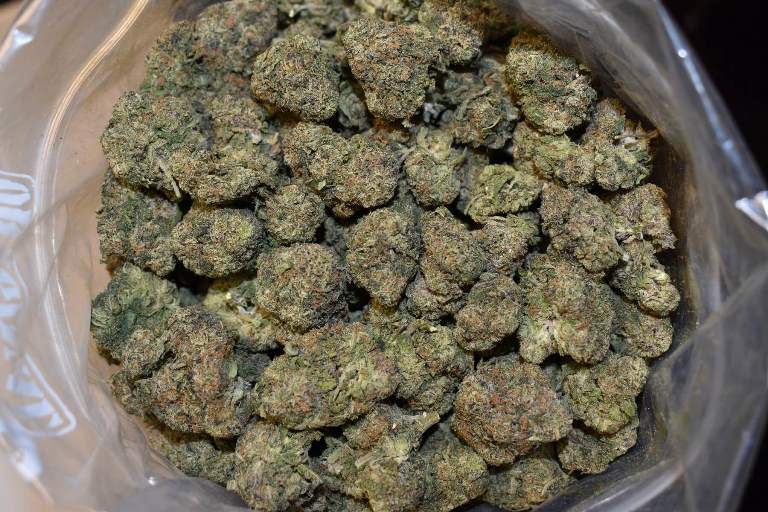 black runtz weed strain