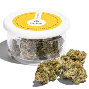 blueberry crumble strain