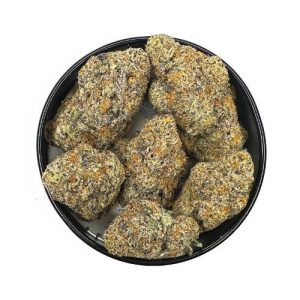 devine runtz strain