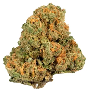 jack herer cause of death