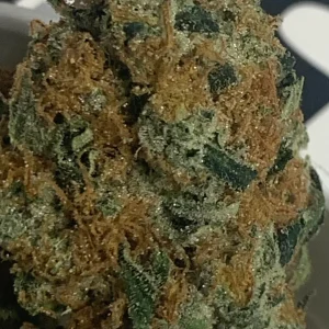 jenny kush seeds