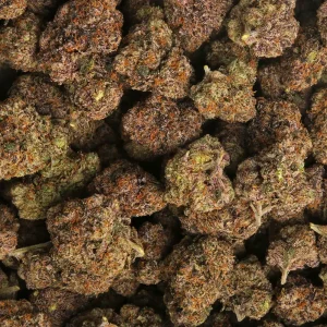 london purpz strain