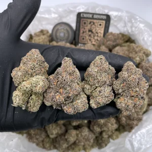 permanent marker strain review