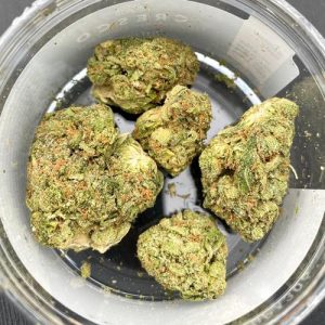 rainbow beltz strain