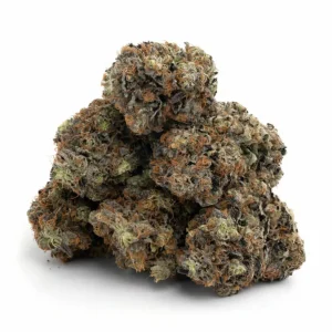 glueberry og strain glueberry og glueberry og dutch passion