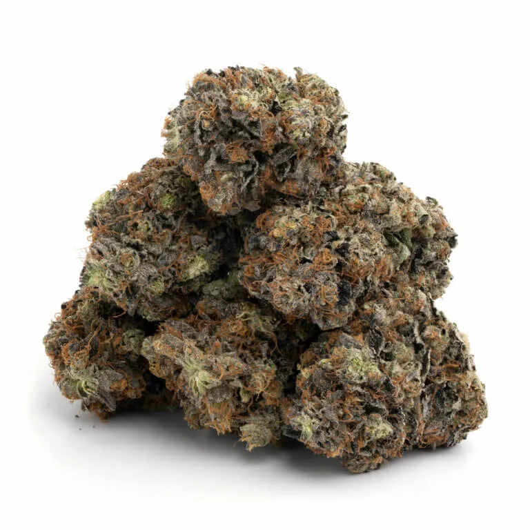 Glueberry-OG glueberry og strain glueberry og glueberry og dutch passion