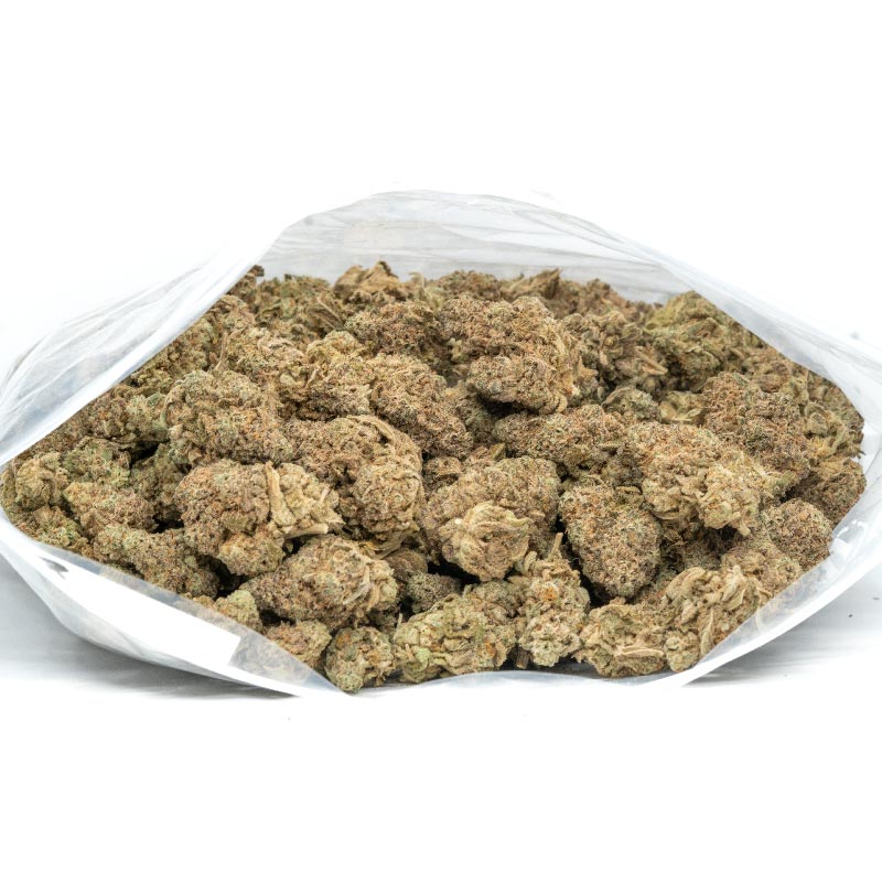 Stardawg-Strain stardawg auto stardawg weed stardawg bubblegum strain stardawg hashplant strain stardawg autoflower