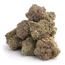 afghan kush afghan kush strain afghan kush seeds afghan kush strain effects afghan kush autoflower purple afghan kush afghan kush plant afghan kush weed strain afghan kush sativa or indica afghan kush weed afghan kush pictures