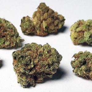 gorilla glue #4 gorilla glue #4 strain