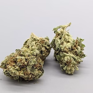 northern lights weed strain northern lights weed northern lights weed seeds northern lights weed pen northern lights weed price northern lights weed near me northern lights weed plant where to buy northern lights weed strain northern lights weed strain effects northern lights weed for sale northern lights weed shop