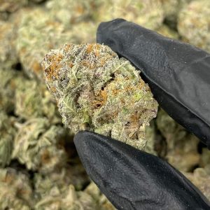 uk cheese strain uk cheese strain indica or sativa uk cheese strain seeds uk cheese strain review uk cheese strain effects uk cheese strain thc buy uk cheese strain original uk cheese strain uk cheese strain wiki