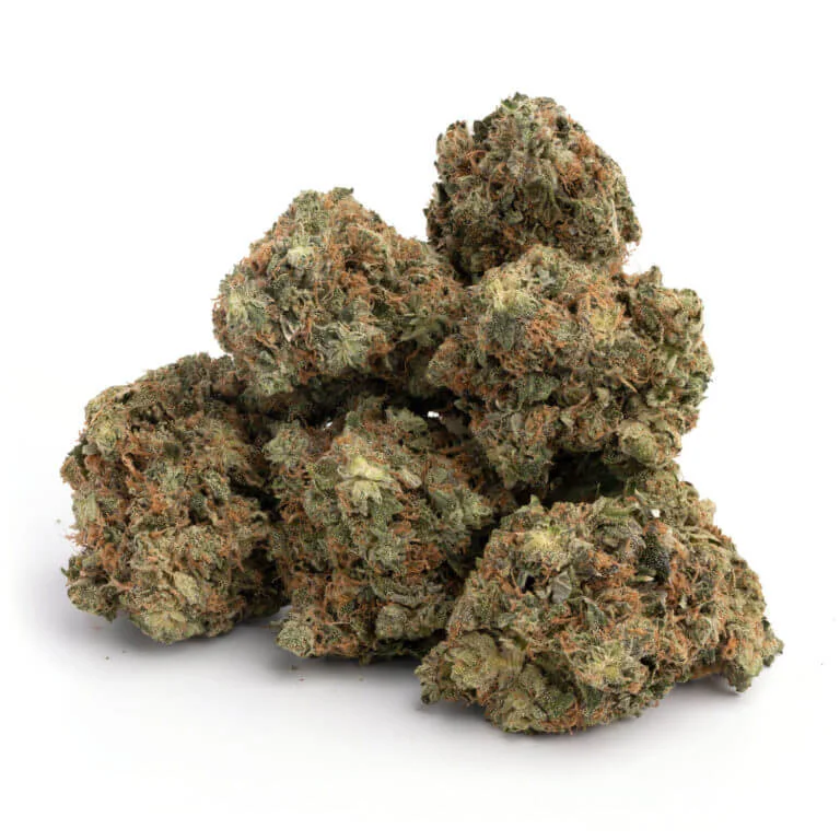 gelato #41 gelato #41 strain gelato#41 grape pie x gelato #41 gelato 45 vs gelato #41 bacio gelato #41 blue gelato #41 gelato #41 strain leafly biscotti x gelato #41 auto grow height gelato #41 strain sativa or indica wedding cake x gelato #41 gelato #41 x triangle kush