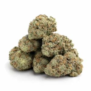 critical jack strain critical jack seeds critical jack critical jack auto critical jack autoflower critical jack herer critical jack feminized critical jack herer auto critical jack strain las vegas, nv critical jack semillas critical jack opiniones critical jack características critical jack fast strain