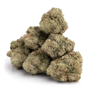 forbidden fruit strain forbidden fruit strain effects forbidden fruit strain indica or sativa forbidden fruit strain sativa or indica forbidden fruit strain seeds forbidden fruit strain info forbidden fruit strain near me forbidden fruit strain review what is forbidden fruit strain good for forbidden fruit strain thc level outdoor forbidden fruit strain forbidden fruit strain terpenes cali forbidden fruit strain forbidden fruit strain purple forbidden fruit strain leafly forbidden fruit strain taste indoor forbidden fruit strain forbidden fruit strain lineage forbidden fruit strain flavor
