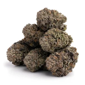 gelato #33 gelato #33 strain gelato #33 strain allbud gelato #33 weed gelato #33 price larry bird, gelato #33 strain gelato #33 otherside gelato #33 strain sativa or indica gelato#33 strain