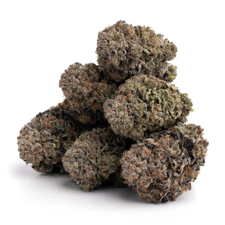 gelato #33 gelato #33 strain gelato #33 strain allbud gelato #33 weed gelato #33 price larry bird, gelato #33 strain gelato #33 otherside gelato #33 strain sativa or indica gelato#33 strain