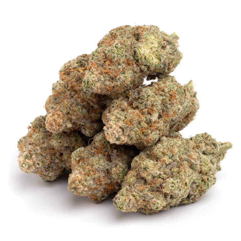 gmo cookies strain gmo cookies gmo cookies weed strain gmo cookies strain effects sour gmo cookies strain gmo cookies seeds gmo cookies review gmo cookies weed non gmo cookies gmo cookies strain review gmo cookies cannabis strain