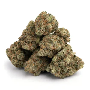 green gelato strain green gelato green gelato auto green gelato seeds good green gelato ak green gelato autoflower green gelato strain effects green gelato auto royal queen seeds green gelato automatic green gelato royal queen seeds green gelato plant green gelato cannabis strain green gelato cannabis rqs green gelato auto