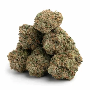 master kush strain master kush master kush seeds master kush strain indica or sativa master kush weed strain grand master kush strain grand master kush master kush leafly socal master kush master kush autoflower master kush effects heirbloom master kush dutch passion master kush master kush weed