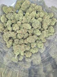 og kush og kush weed strain og kush weed pen tahoe og kush weed og kush weed plant is og kush weed og kush weed price lemon og kush weed strain platinum og kush weed strain og kush weed effects how to grow og kush weed purple og kush weed strain
