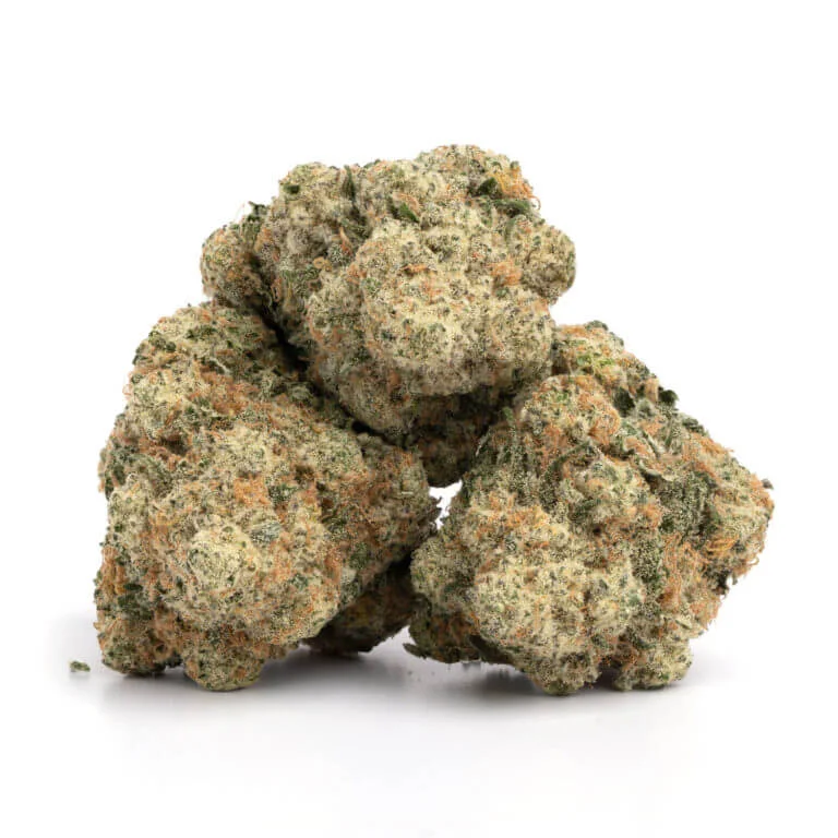 super lemon haze strain super lemon haze strain effects super lemon haze strain review super lemon haze strain sativa or indica super lemon haze strain near me super lemon haze strain indica or sativa super lemon haze strain info super lemon haze strain terpene profile super lemon haze strain seeds super lemon haze strain terpenes island lime haze x super lemon haze strain