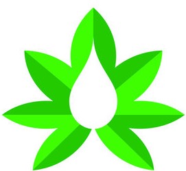 Buy weed uk